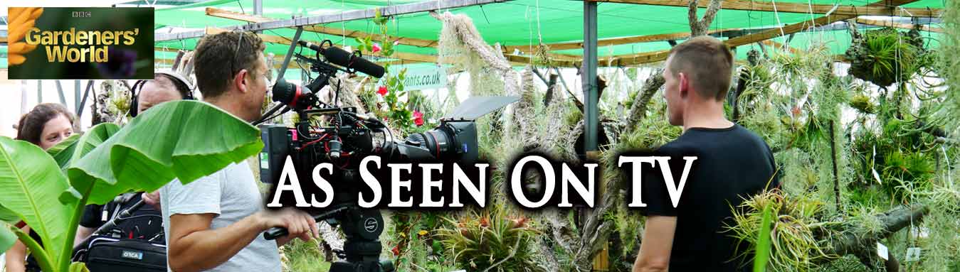 Craftyplants air plant nursery as seen on TV