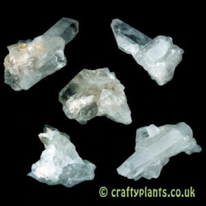 Quartz Crystal 5 Pack by craftyplants