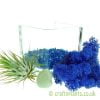 Elements Airplant Kit - WATER with gravel by craftyplants.co.uk