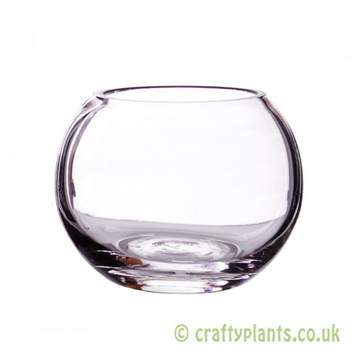 10cm glass fishbowl from craftyplants