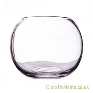 12.5cm glass fishbowl by craftyplants.co.uk