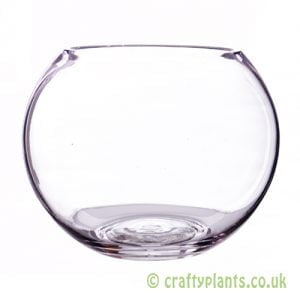 15cm glass fishbowl by craftyplants.co.uk