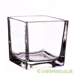 8cm glass cube by craftyplants
