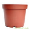 A 12cm plastic plant pot by craftyplants