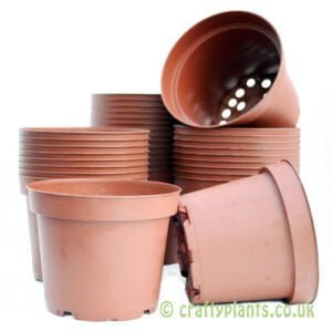 12cm plastic plant pots by craftyplants