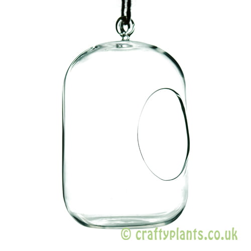 Hanging glass oval terrarium by craftyplants
