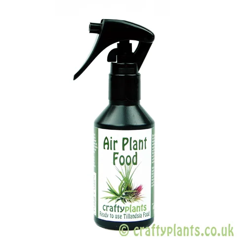 Air plant food 100ml by craftyplants