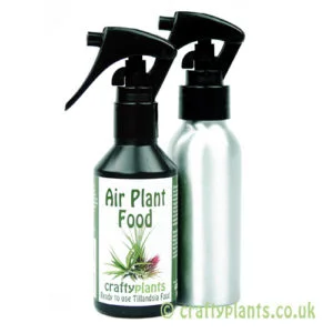 Watering and feeding twin pack by craftyplants
