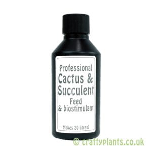 Cactus & Succulent Feed from Craftyplants